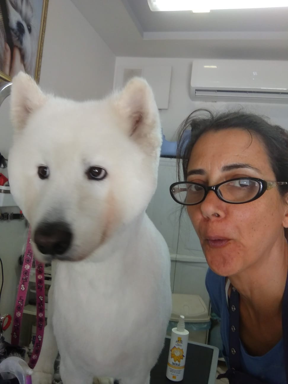 WhatsApp Image 2023-01-23 at 12.50.28