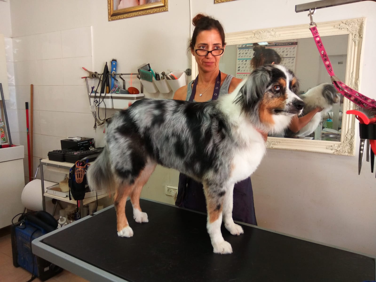 WhatsApp Image 2023-01-23 at 12.50.58