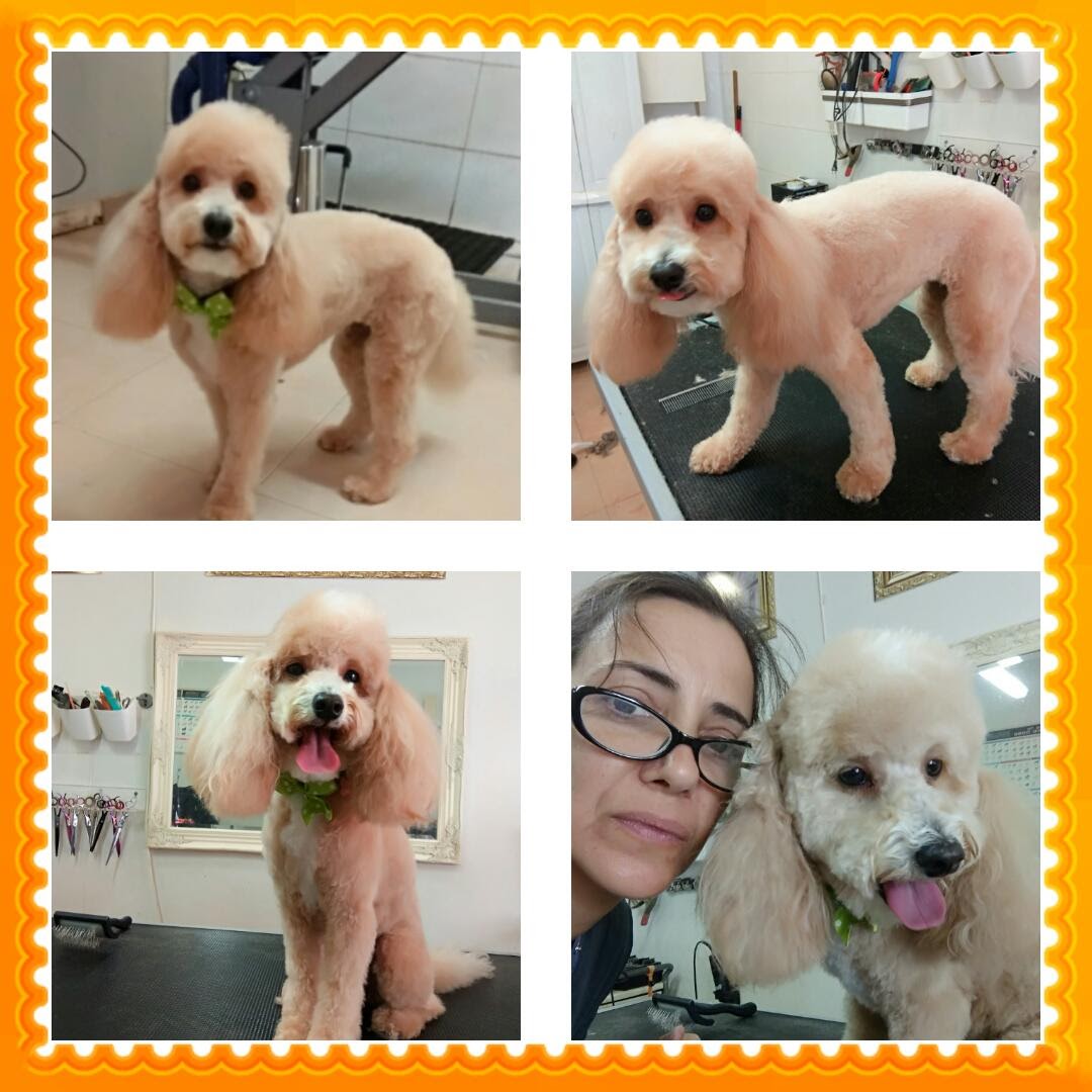 WhatsApp Image 2023-01-23 at 12.51.34