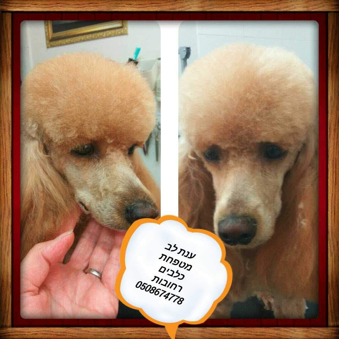 WhatsApp Image 2023-01-23 at 12.53.01