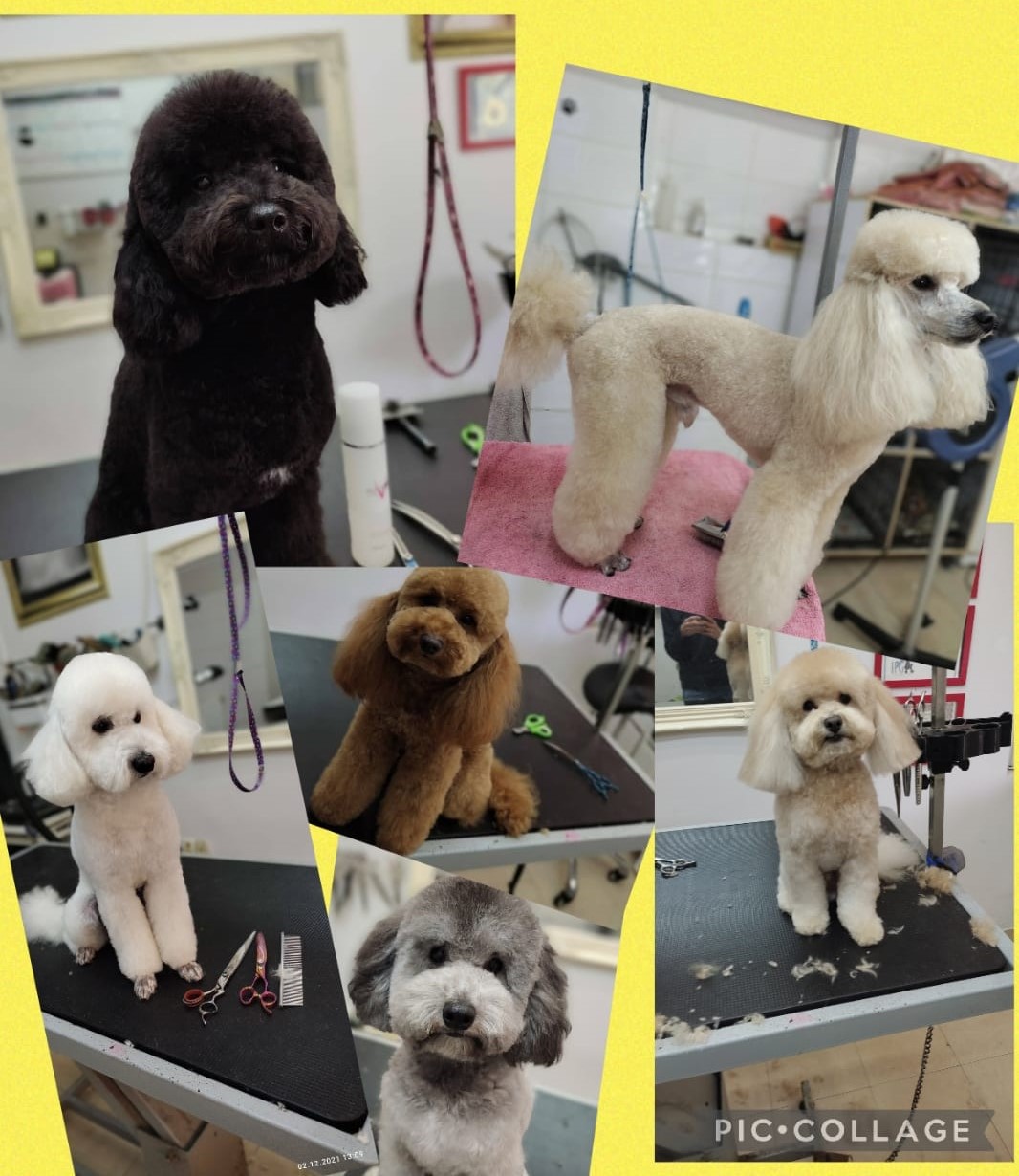 WhatsApp Image 2023-01-23 at 13.18.47